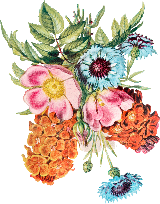 Flower background
