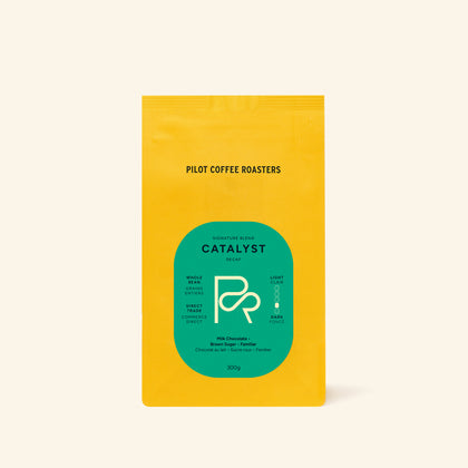 CATALYST - 300g