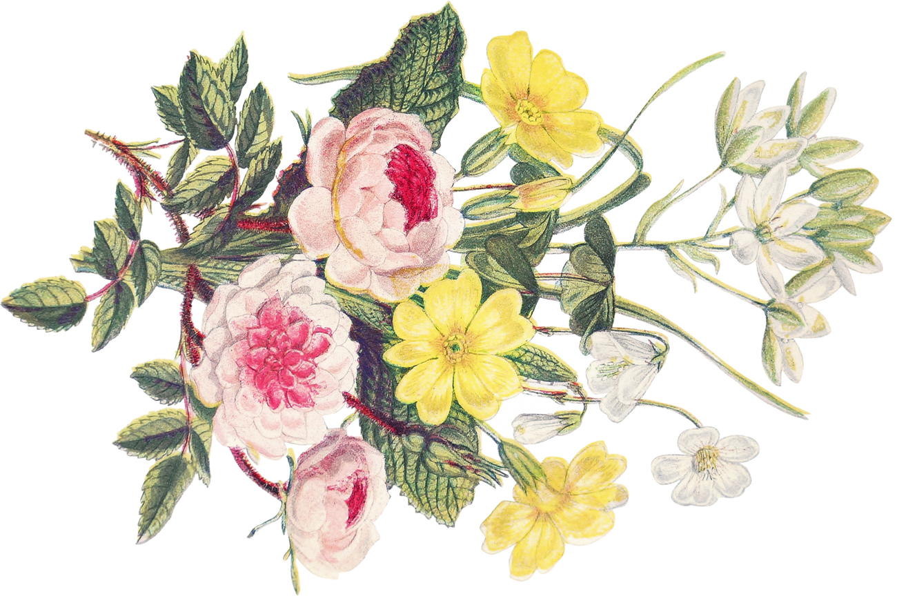 Craig s Cookies craig-s-cookies